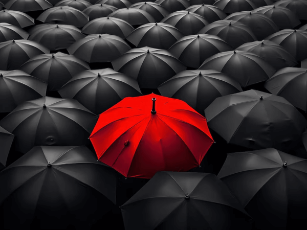 Why Branding Matters: Building a Strong Business Identity