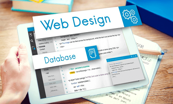 Web Design & Development