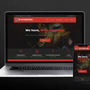 Professional Website