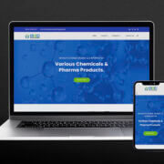Professional Website
