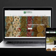 E-Commerce Websites